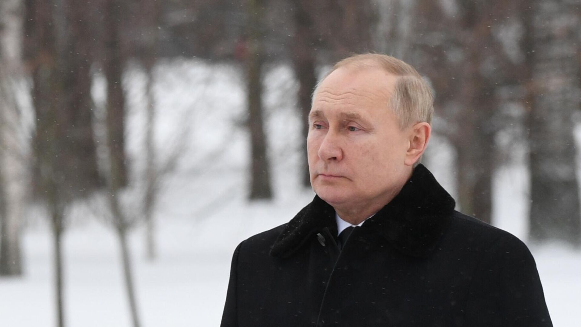 Президент РФ В. Путин  - ИноСМИ, 1920, 02.02.2022