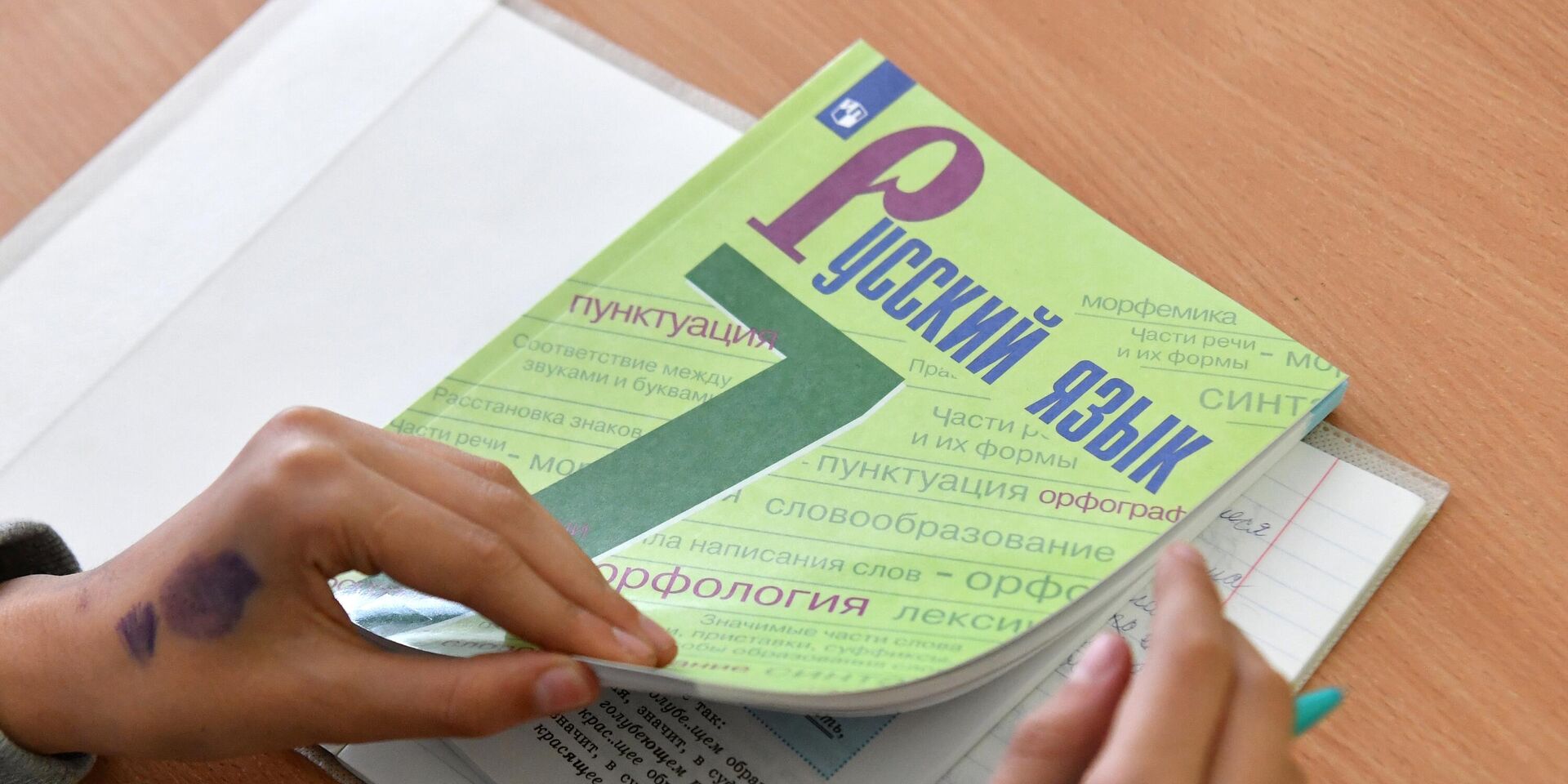 Ученик на уроке русского языка - ИноСМИ, 1920, 02.11.2023