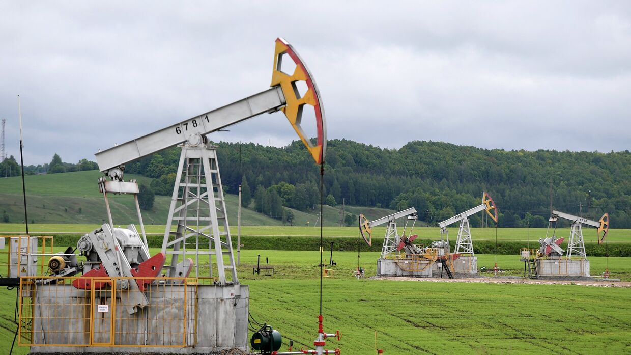 Нефтяные станки-качалки компании «Татнефть» в Альметьевском районе Республики Татарстан