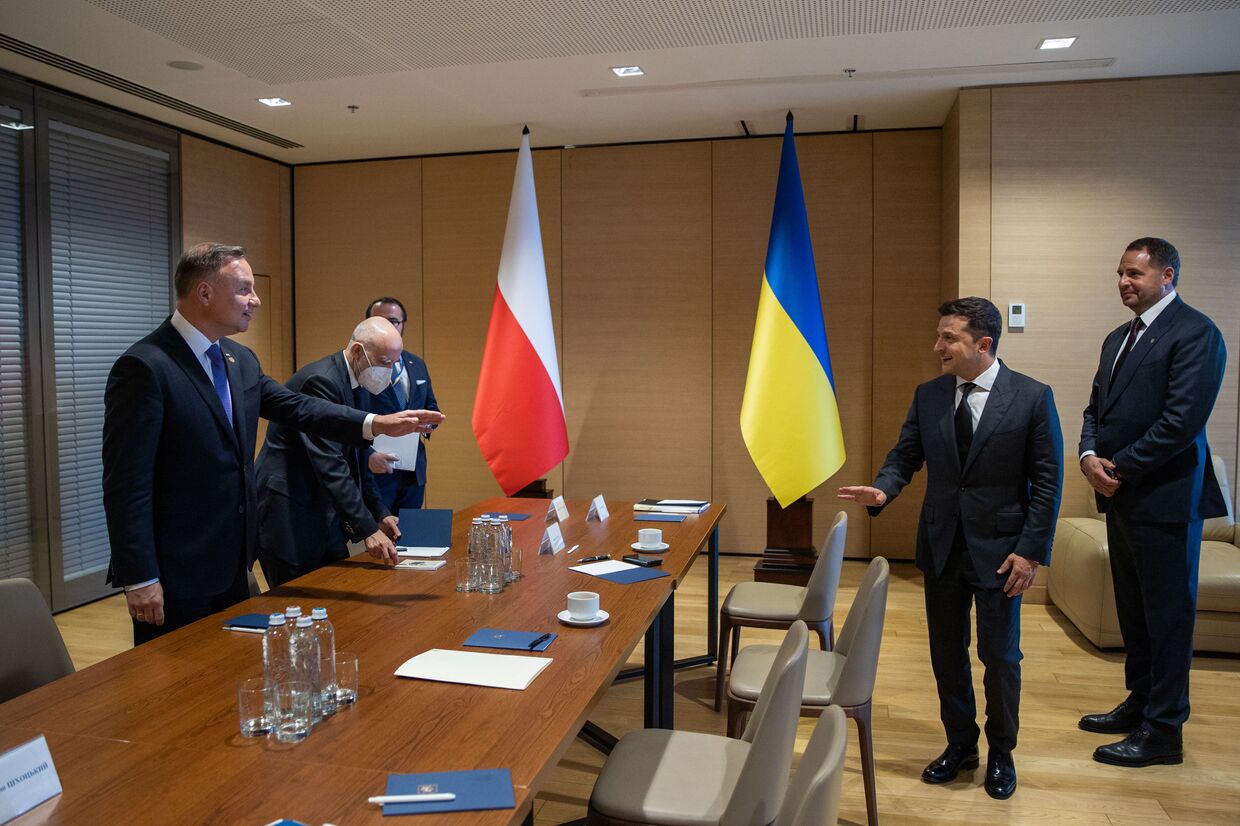 Президент Украины Владимир Зеленский и президент Польши Анджей Дуда на саммите «Крымская платформа» в Киеве